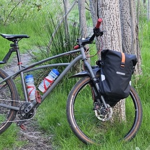 Trek Sawyer Silver, gray or bare metal