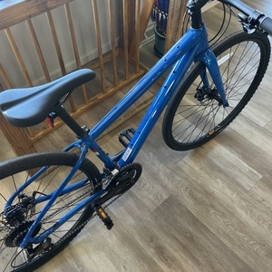 2026 Salsa Blue