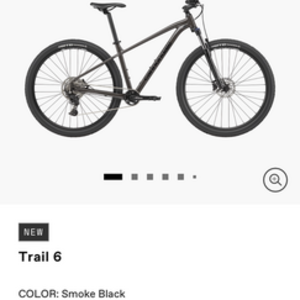 2021 Cannondale Trail 6 Black and Silver, gray or bare metal