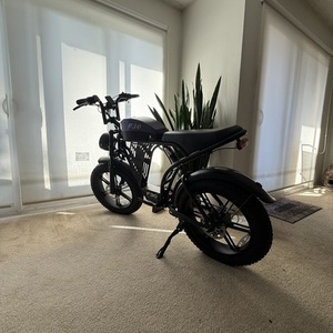 2025 PikeBike FC30 Black and Green