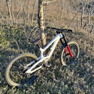 2022 YT Yt tues White