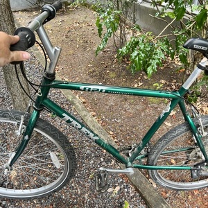 2019 Trek 820 MOUNTAIN TREK Green