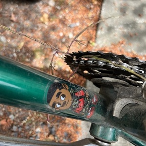 2019 Trek 820 MOUNTAIN TREK Green