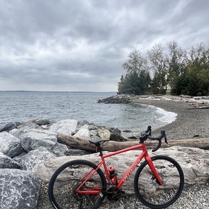 2021 Specialized Diverge elite E5 Red