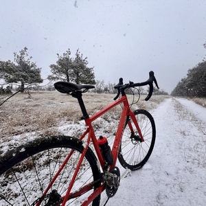 2021 Specialized Diverge elite E5 Red