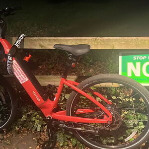 REI Co-op CTY e2.1 Electric Bike Red