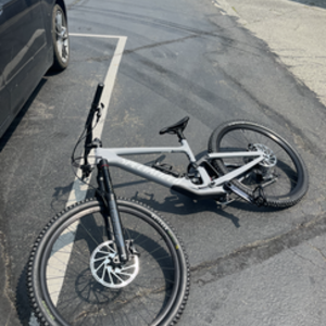 2022 Specialized Enduro Silver, gray or bare metal