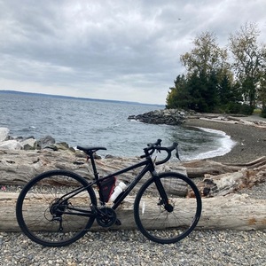2014 Salsa Journeyer Black
