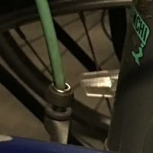 Bianchi Silver or Gray and Green