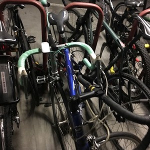 Bianchi Silver or Gray and Green