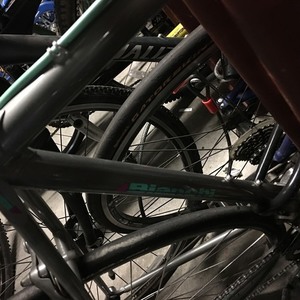 Bianchi Silver or Gray and Green