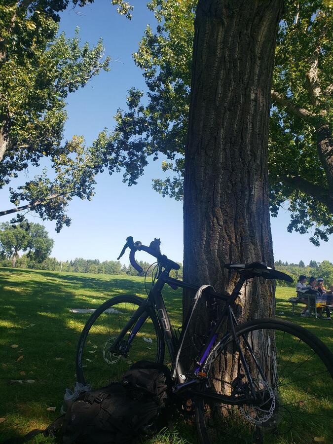 Bike photo