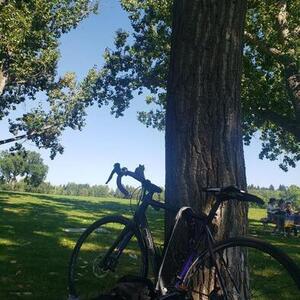 2016 Opus Sibelius 1.0 Black