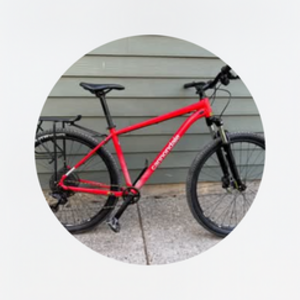 Cannondale Trail Sl 5 Red