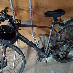 2011 Giant Black