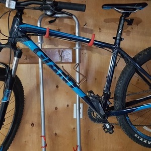 2011 Giant Black