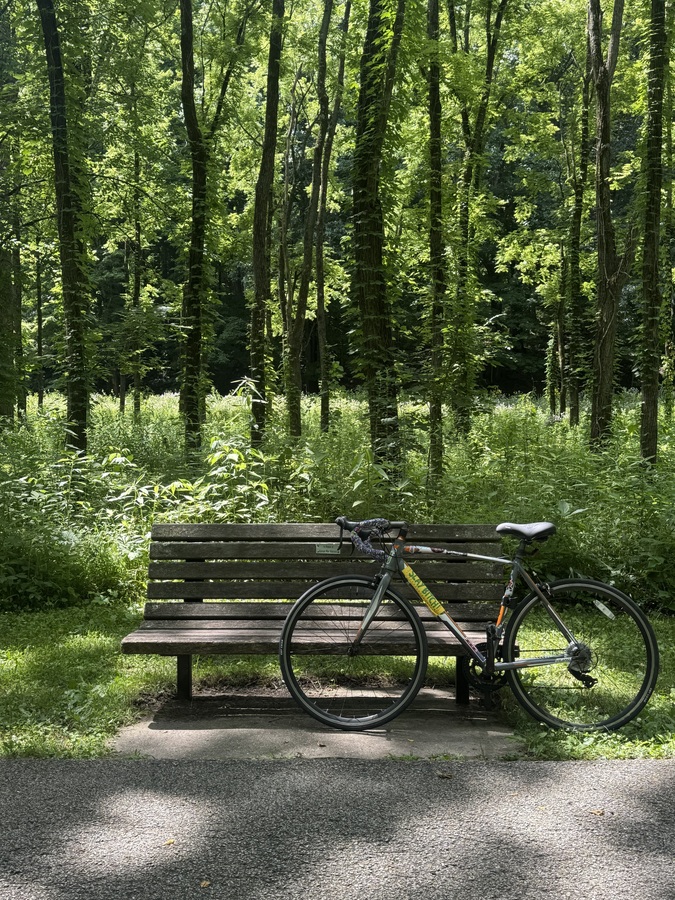 Bike photo