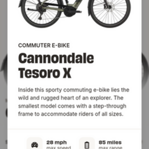 Cannondale Tesoro X Silver, gray or bare metal