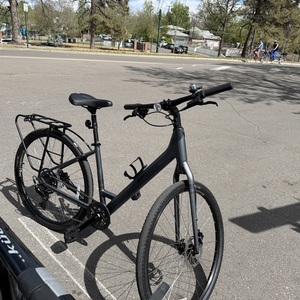 2026 Trek VERVE STEP THROUGH Silver, gray or bare metal
