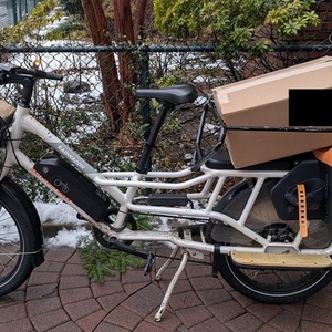 Rad Power Bikes Radwagon 4 White