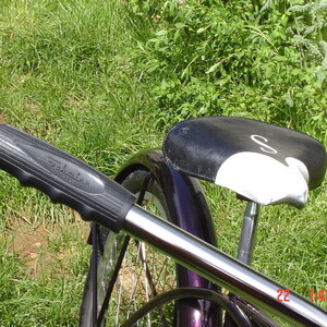 1966 Schwinn Typhoon Purple