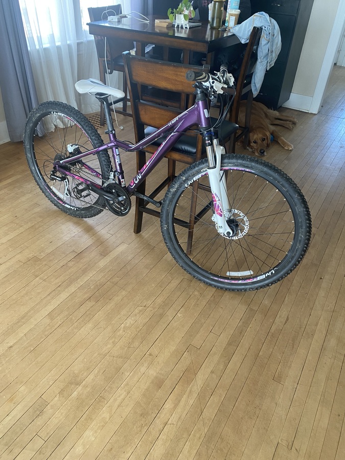Bike photo