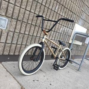 Premium Inspired Yellow or Gold