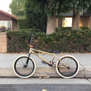 Premium Inspired Yellow or Gold