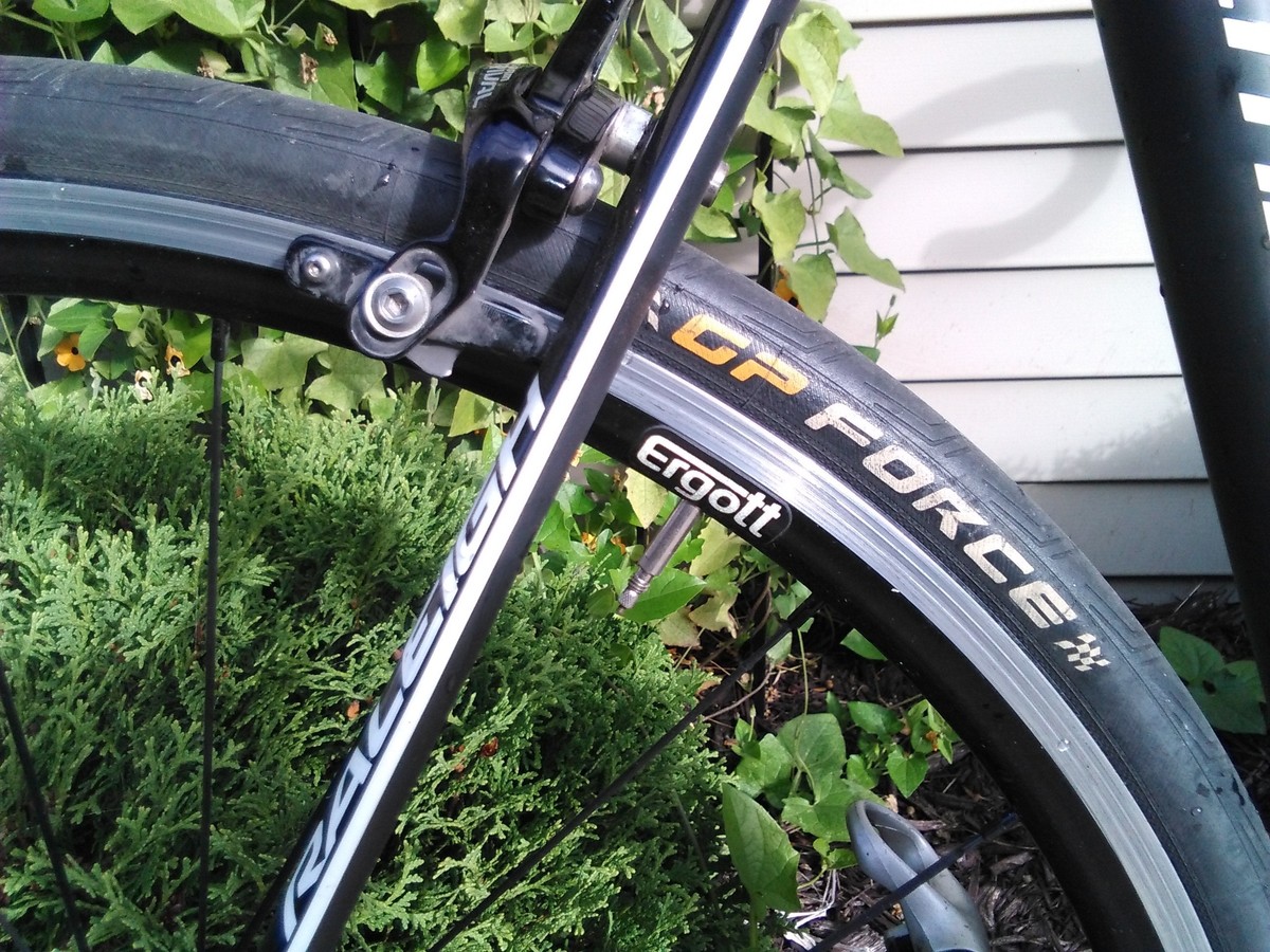 raleigh militis for sale