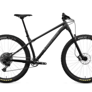 Santa Cruz Chameleon Silver, gray or bare metal