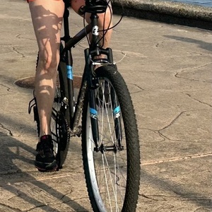Rebike Black