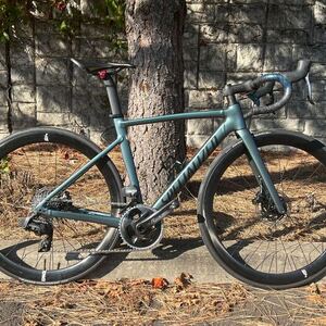 2021 Specialized Allez Green