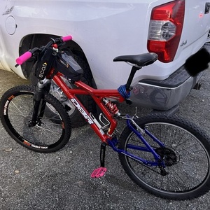 Diamondback X2 Red