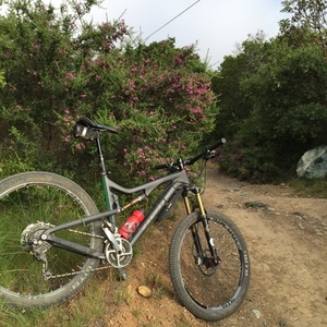2013 Santa Cruz Solo C Large Black and Green