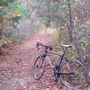 2014 Specialized Roubaix SL4 Comp Compact Black