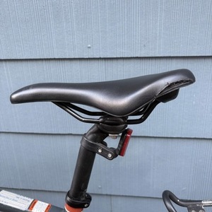 2020 Raleigh Merit 1 Silver, gray or bare metal