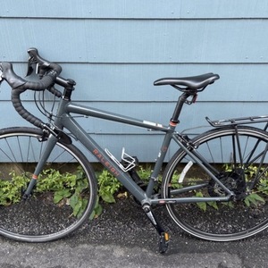 2020 Raleigh Merit 1 Silver, gray or bare metal