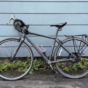 2020 Raleigh Merit 1 Silver, gray or bare metal