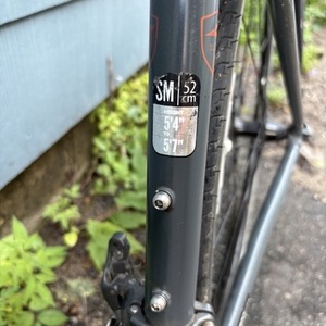 2020 Raleigh Merit 1 Silver, gray or bare metal