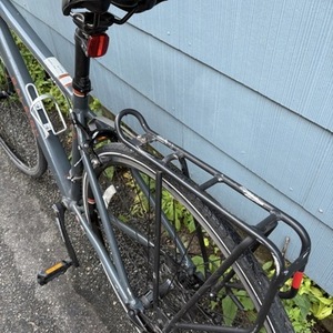 2020 Raleigh Merit 1 Silver, gray or bare metal