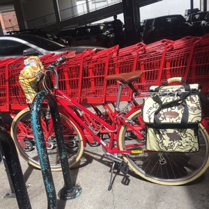 2015 Breezer Downtown EX Red