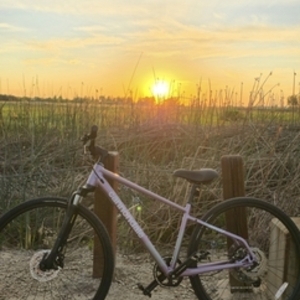 2026 Cannondale Quick cx 3 Purple