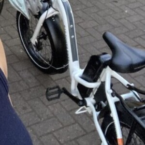 Rad Power Bikes Rad Expand White
