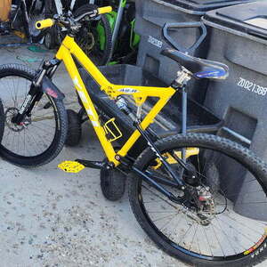 Yeti AS-R Yellow or Gold