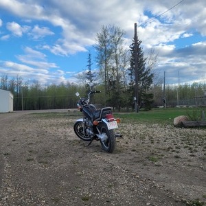 1983 Yamaha Virago Black