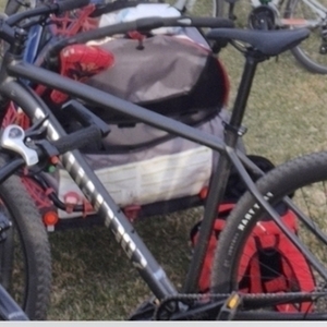 2025 Specialized Rockhopper Silver, gray or bare metal