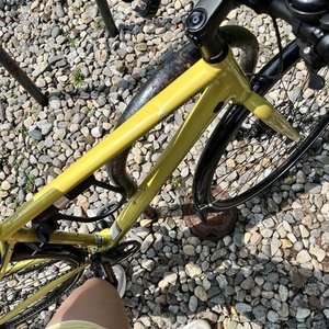 2024 Cannondale Quick Women's 4 Yellow or Gold