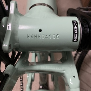 2025 Kona Process 153 DL Green