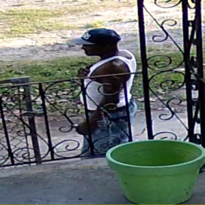 Gary Fisher Simple City 3 Black