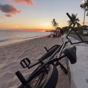 2026 Fit bike Co. Black